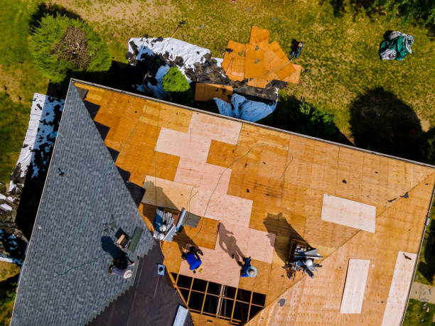 Best Storm Damage Roof Repair  in Milan, IN